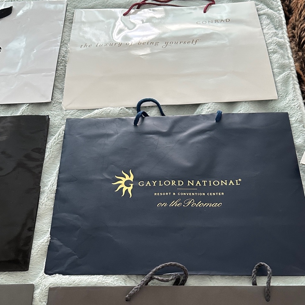 8 Assorted Empty Designer Shopping Bags - Picture 3 of 11